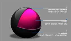 parts of a paintball