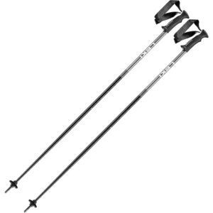 Ski Poles