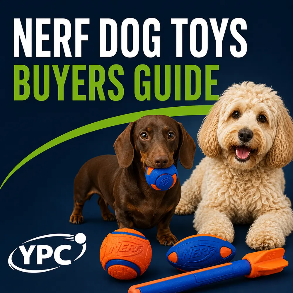 Nerf Dog Toys Buyers Guide