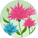 Lydia Waites profile picture