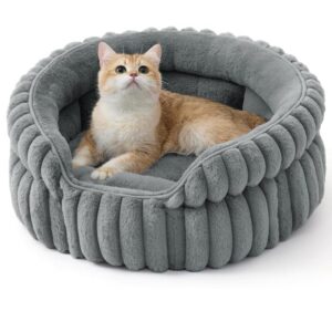 Cat Beds and Bedding