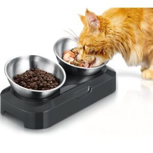 Cat Bowls and Feeders