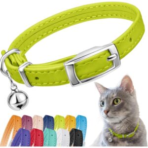 Cat Collars and Accessories