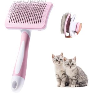 Cat Grooming