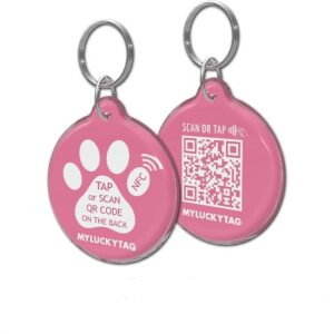 Cat ID Tags and Safety