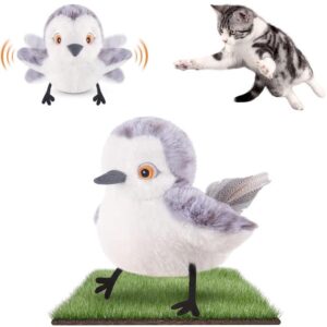 Cat Toys