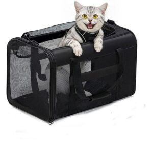 Cat Travel