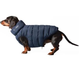 Dog Clothing and Accessories