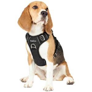 Dog Collars Leads and Harnesses