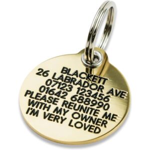 Dog ID Tags and Safety
