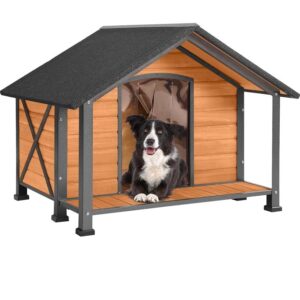 Dog Kennels and Outdoor Dog Housing