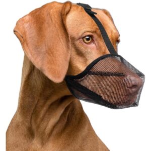Dog Muzzles