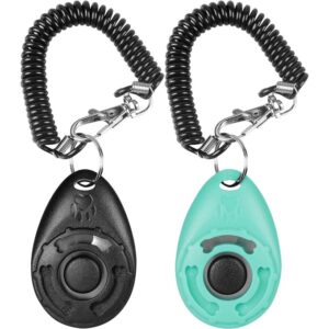 Dog Training and Behaviour