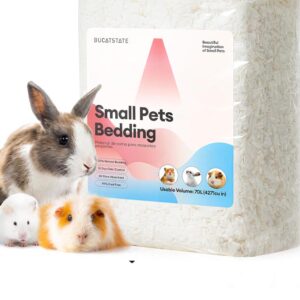 Guinea Pig Bedding and Litter