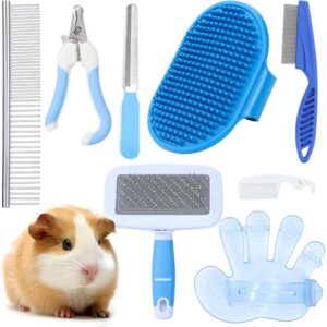 Guinea Pig Grooming