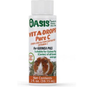 Guinea Pig Health and Hygiene