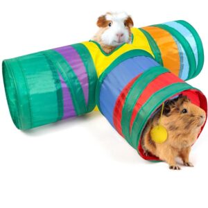 Guinea Pig Toys