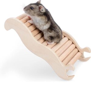 Hamster Toys and Exercise