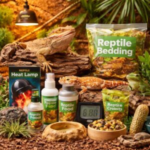 Reptile Supplies