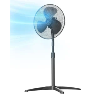 Fans